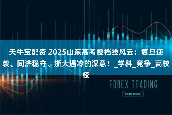 天牛宝配资 2025山东高考投档线风云：复旦逆袭、同济稳守、浙大遇冷的深意！_学科_竞争_高校