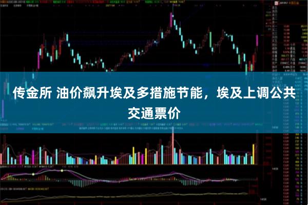传金所 油价飙升埃及多措施节能，埃及上调公共交通票价